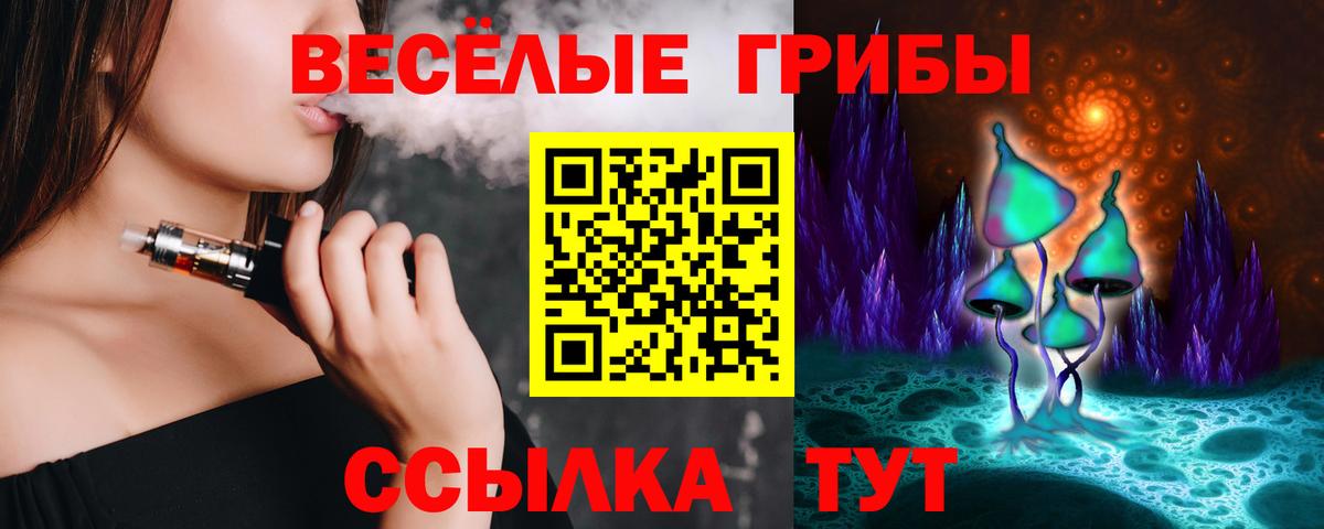 Кингисепп  Псилоцибиновые грибы MAGIC MUSHROOMS  Вход с VPN 